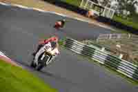 Advanced Group White Bikes